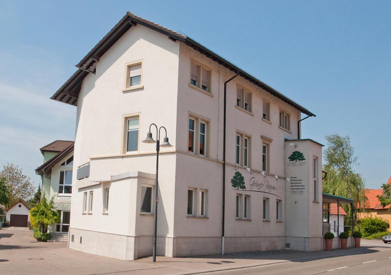 Der Gruene Baum Hotel Sinsheim Kültér fotó